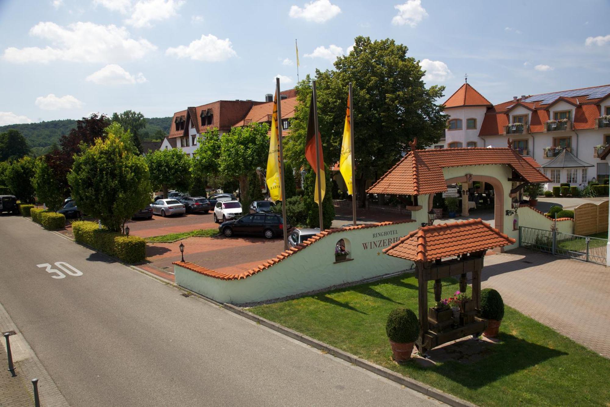 Ringhotel Winzerhof Rauenberg  Bagian luar foto